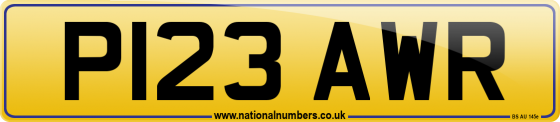 P123 AWR