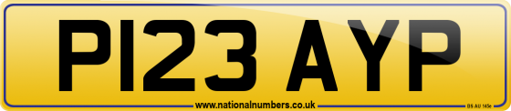 P123 AYP