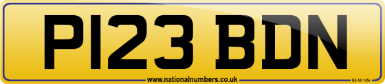 P123 BDN