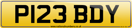 P123 BDY