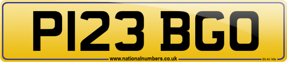 P123 BGO