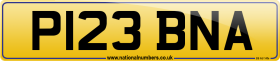 P123 BNA