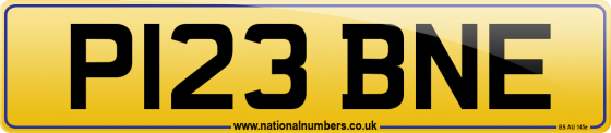 P123 BNE