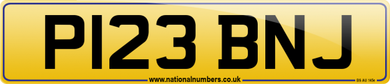 P123 BNJ