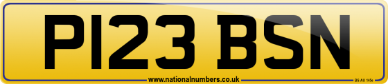 P123 BSN
