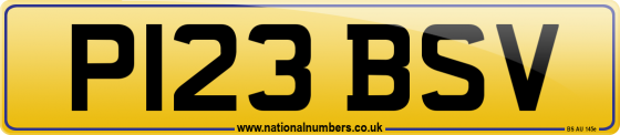 P123 BSV