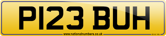 P123 BUH
