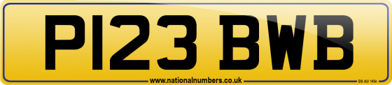 P123 BWB