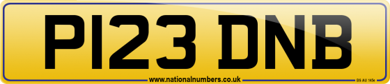 P123 DNB