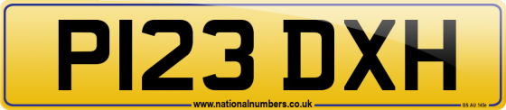 P123 DXH