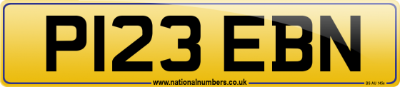 P123 EBN
