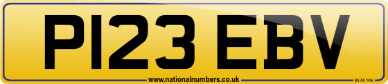 P123 EBV