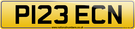 P123 ECN