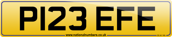 P123 EFE
