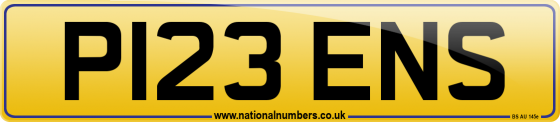 P123 ENS
