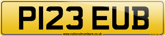 P123 EUB