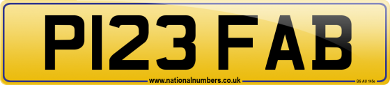 P123 FAB
