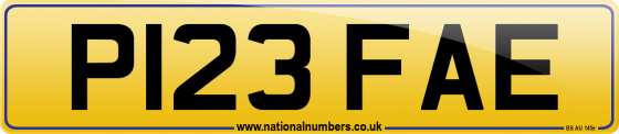 P123 FAE