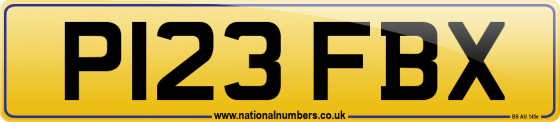 P123 FBX