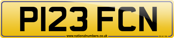 P123 FCN