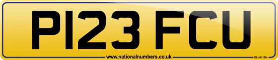 P123 FCU