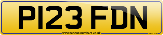 P123 FDN