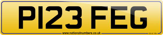 P123 FEG