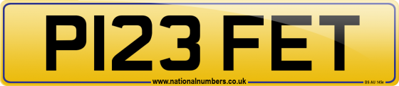 P123 FET