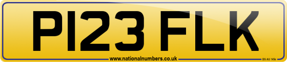 P123 FLK