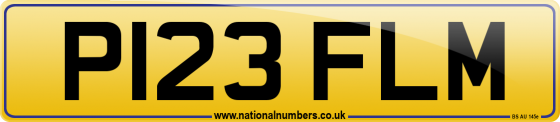 P123 FLM