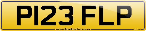 P123 FLP
