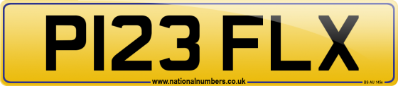 P123 FLX
