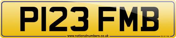 P123 FMB