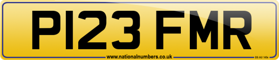 P123 FMR