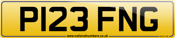 P123 FNG
