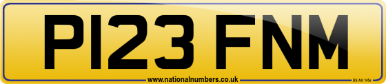P123 FNM