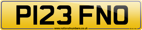 P123 FNO