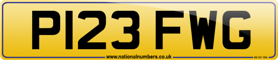 P123 FWG