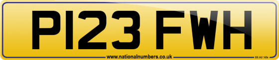 P123 FWH