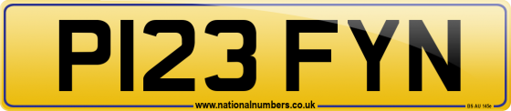 P123 FYN