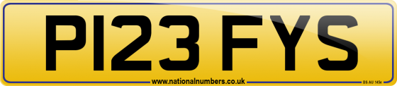 P123 FYS