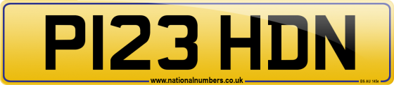 P123 HDN