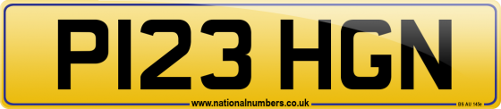 P123 HGN