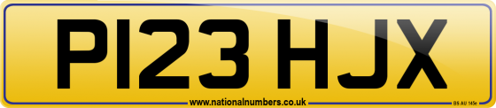P123 HJX