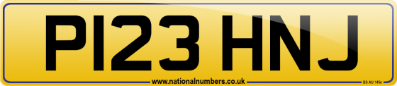 P123 HNJ