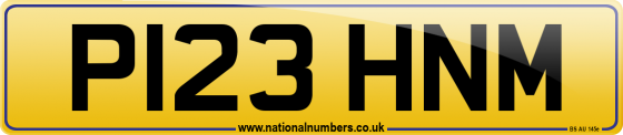 P123 HNM