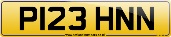 P123 HNN