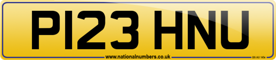 P123 HNU