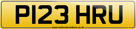 P123 HRU