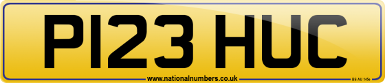 P123 HUC